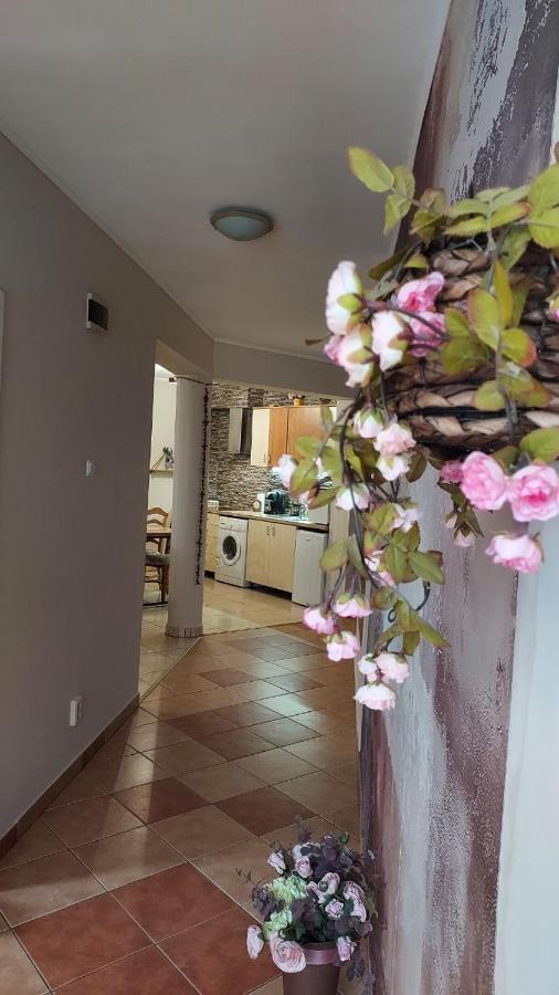 Kara Apartman أودورهيو سيكيوسك المظهر الخارجي الصورة
